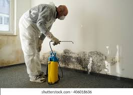 Why You Should Choose Our Mold Remediation Services in Lake Waynoka, OH